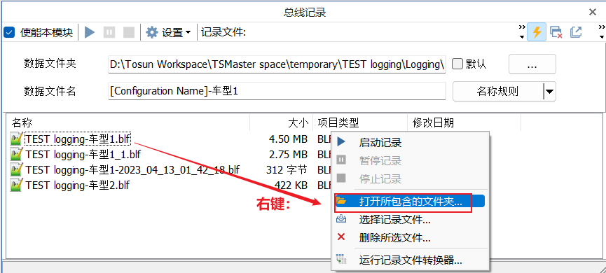 Picture 19 TSMaster Recording Module